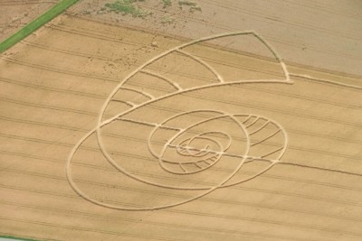 photo crop circle